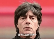 九游体育网页版-图卢兹主帅获提拔，或将出任国家队教练的简单介绍