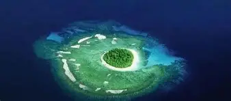 汤加篮球队一路高歌，晋级半决赛(苏炳添晋级世锦赛百米半决赛)